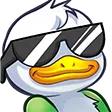 quackcool