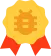 BugSolved