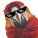 ThugBirb