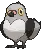 pidove