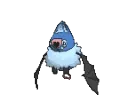 swoobat swoobat