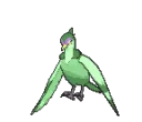 tranquillshiny