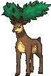 sawsbucksummer