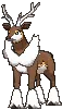 sawsbuckwinter