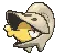 shelmetshiny