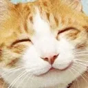 happycat