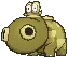 hippopotasfemaleshiny