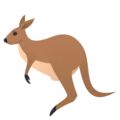 kangaroo kangaroo
