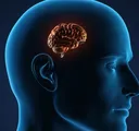 brainsmall