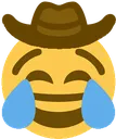 joycowboy joycowboy