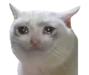 sad
