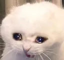 sadrina sadrina