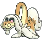 drampashiny