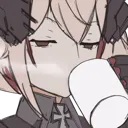 RoonSip RoonSip