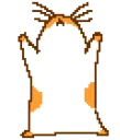 hamtaro