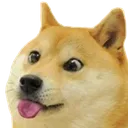 dogesilly