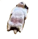 mmm mmm