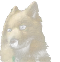 sad_doggo