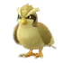1_pidgey
