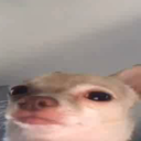 :emoji_50: Discord Emote