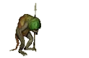 Troglodyte