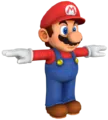 Mario_TPose