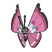 vivillon
