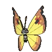 vivilloncontinental