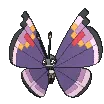 vivillonelegant