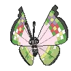 vivillonfancy