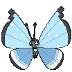 vivillontundra vivillontundra