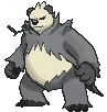 pangoro pangoro