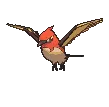 fletchindershiny