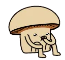 4shtmush 4shtmush