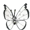vivillonicysnowshiny vivillonicysnowshiny