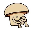 shroomkid