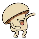 shroomshuffle