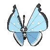 vivillontundrashiny