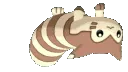 FurretUpsideDownRight