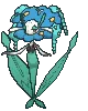 florgesblue