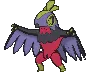 hawluchashiny