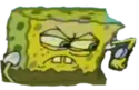 7ty