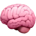 bigbrane