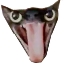 8731_esmerilemeragatito