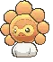 castformsunny castformsunny