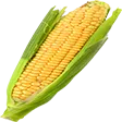 corn