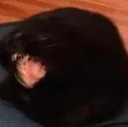 nithyscat
