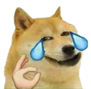 doge_laugh doge_laugh