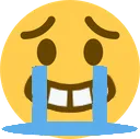 ConcernedSob