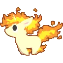 RapidRunner RapidRunner